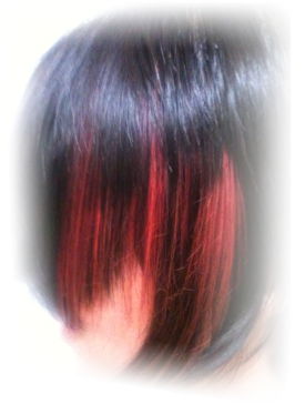 Beispiel DoubleHair Clip Extesions