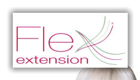 Flex Extesion